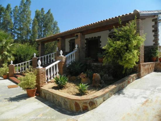 Finca de estilo rustico a tan solo 5 minutos de Alhaurin el Grande. - MALAGA