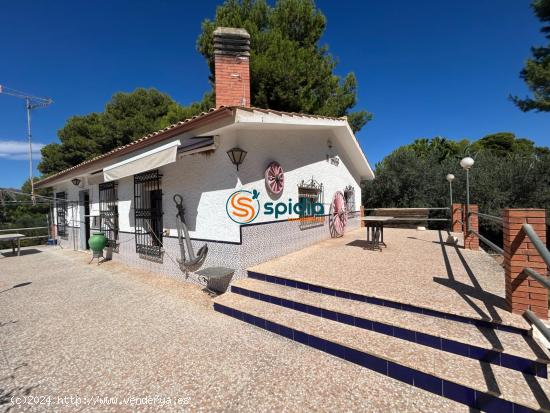 Gran casa de campo rodeada de arboles frutales, palmeras, pinos y olivos muy cuidados - MURCIA