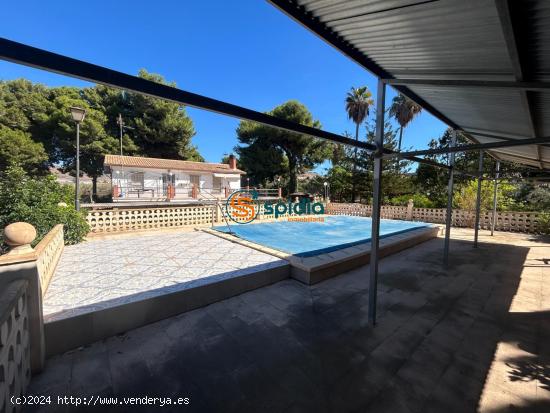 Gran casa de campo rodeada de arboles frutales, palmeras, pinos y olivos muy cuidados - MURCIA