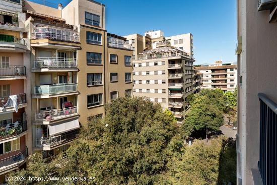  Amplio piso en Blanquerna con dos plazas de garaje en el centro de Palma - BALEARES 