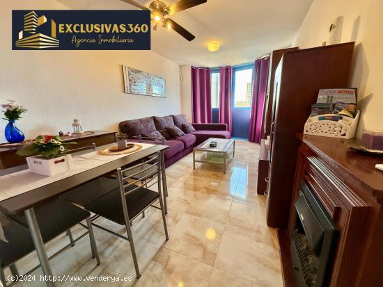 Apartamento de 2 Habitaciones en Alquiler de Octubre a Mayo en Benidorm. Exclusivas360 - ALICANTE