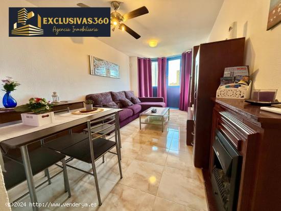 Apartamento de 2 Habitaciones en Alquiler de Octubre a Mayo en Benidorm. Exclusivas360 - ALICANTE