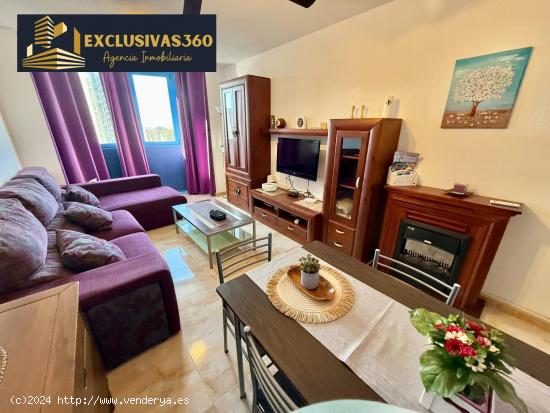 Apartamento de 2 Habitaciones en Alquiler de Octubre a Mayo en Benidorm. Exclusivas360 - ALICANTE