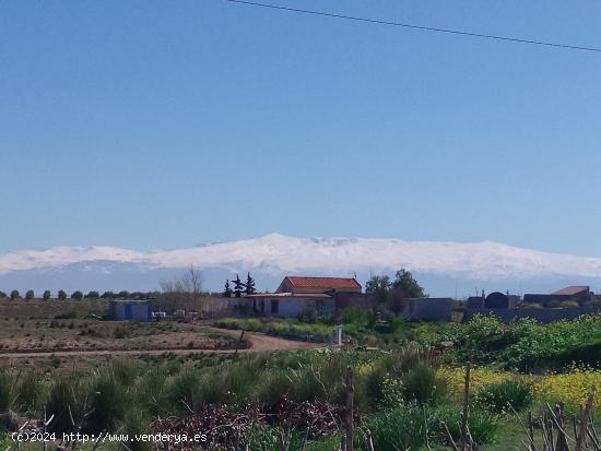 Se Vende en Moraleda de Zafayona - GRANADA