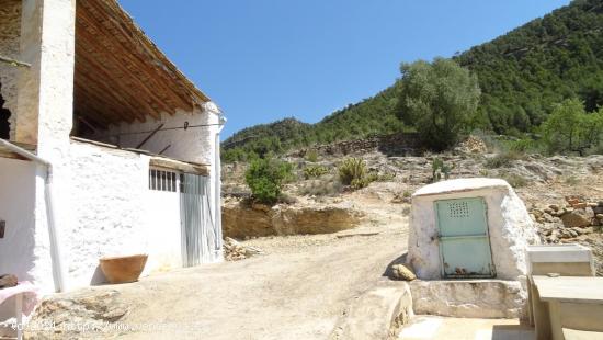 Finca rustica - VALENCIA