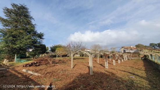 Magnífica finca edificable en el centro urbano de la Ramallosa. - PONTEVEDRA