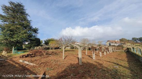 Magnífica finca edificable en el centro urbano de la Ramallosa. - PONTEVEDRA