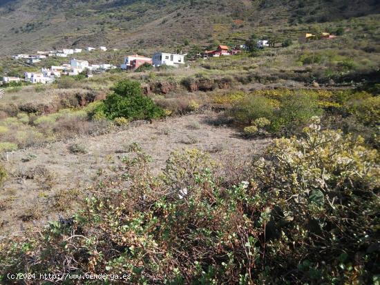 ¡Terreno rústico en Frontera, El Hierro! - SANTA CRUZ DE TENERIFE