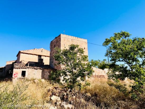 Finca rústica con terreno para renovar en Campos. - BALEARES