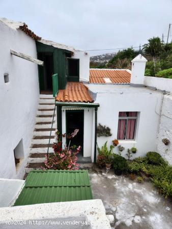 Encanto Rural en La Guancha: Casa Rústica con Amplia Huerta y Vistas Inigualables - SANTA CRUZ DE T