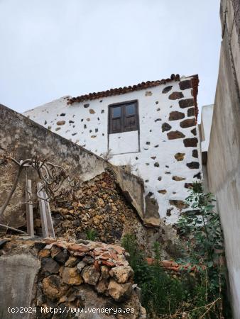 Encanto Rural en La Guancha: Casa Rústica con Amplia Huerta y Vistas Inigualables - SANTA CRUZ DE T