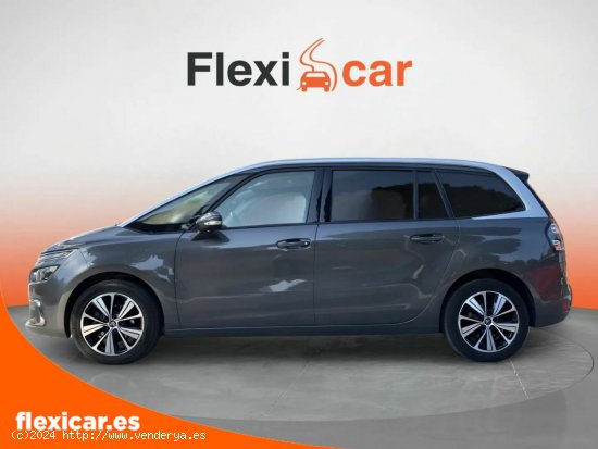 Citroën Grand C4 Picasso PureTech 96KW (130CV) S&S 6v Feel - Vic