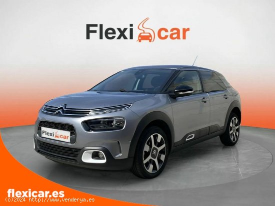 Citroën C4 Cactus BlueHDi 100 S&S Shine Pack - Talavera de la Reina