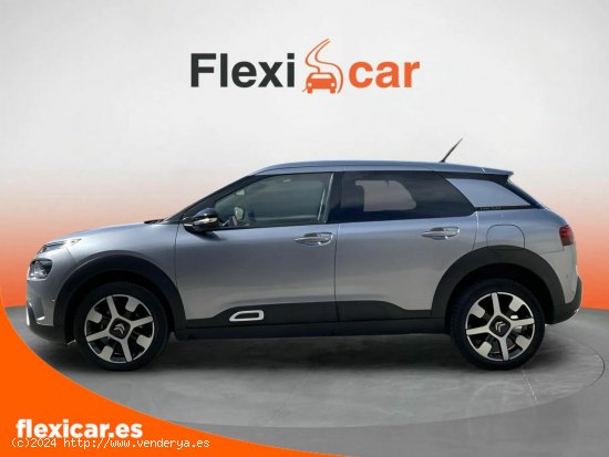 Citroën C4 Cactus BlueHDi 100 S&S Shine Pack - Talavera de la Reina