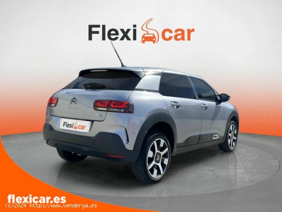 Citroën C4 Cactus BlueHDi 100 S&S Shine Pack - Talavera de la Reina