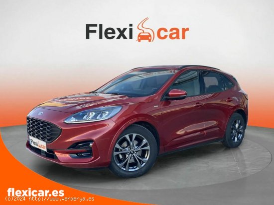 Ford Kuga ST-Line 1.5T EcoBoost 110kW (150CV) - Sant Boi de Llobregat