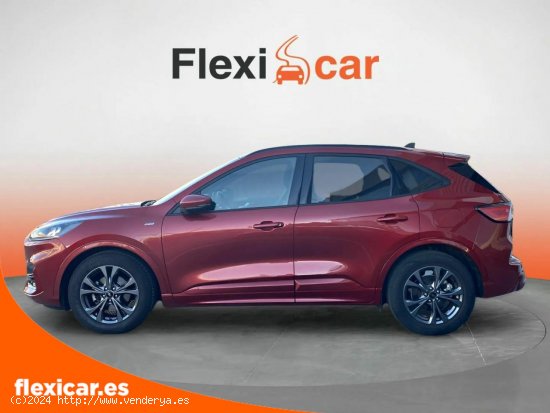 Ford Kuga ST-Line 1.5T EcoBoost 110kW (150CV) - Sant Boi de Llobregat