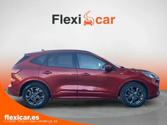 Ford Kuga ST-Line 1.5T EcoBoost 110kW (150CV) - Sant Boi de Llobregat