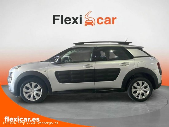 Citroën C4 Cactus PureTech 82cv S&S ETG Shine - Valencia