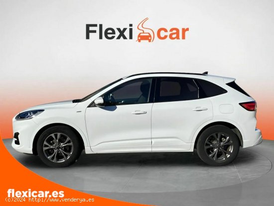 Ford Kuga ST-Line 1.5T EcoBoost 110kW (150CV) - Figueres