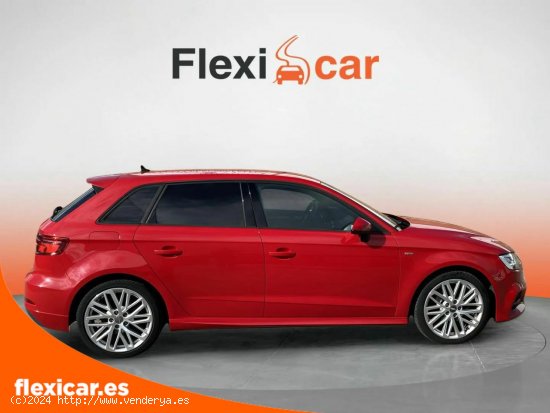 Audi A3 30 TDI 85kW (116CV) Sportback - Segovia