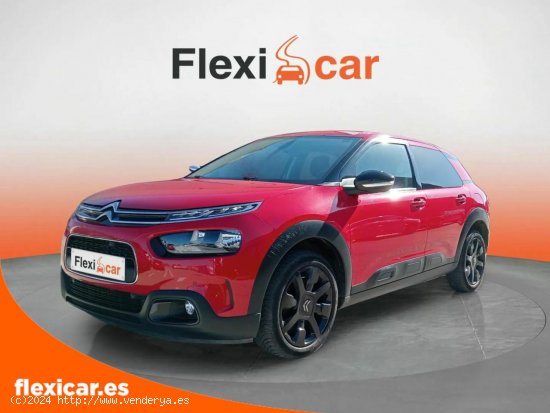 Citroën C4 Cactus PureTech 81KW (110CV) S&S EAT6 Feel - Girona