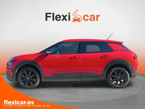 Citroën C4 Cactus PureTech 81KW (110CV) S&S EAT6 Feel - Girona