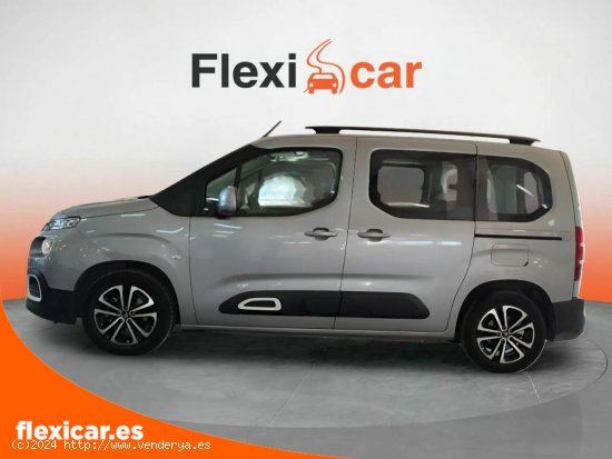 Citroën Berlingo Talla M PureTech 110 S&S FEEL - Jaén