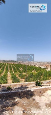 Alquilofacil-murcia alquila una estupenda casa de campo en la zona de santomera en 650€