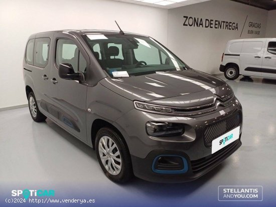 Citroën Berlingo  Talla M ë-Berlingo 50 kWh Feel - Vigo