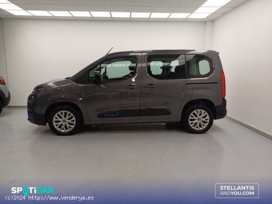 Citroën Berlingo  Talla M ë-Berlingo 50 kWh Feel - Vigo