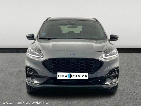 Ford Nuevo Kuga St-line X 2.5 Duratec Fhev 140kw (190cv) Hf-45 Aut. E6.2 - Huércal de Almería