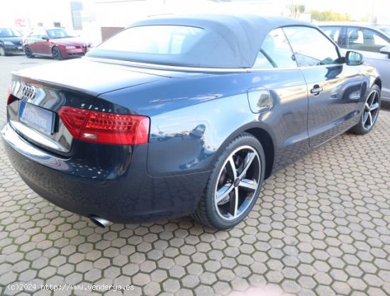 AUDI A5 Cabrio en venta en AlcalÃ¡ de GuadaÃ­ra (Sevilla) - AlcalÃ¡ de GuadaÃ­ra