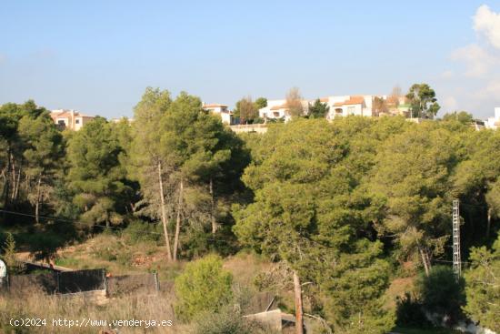 Indescriptible - las vistas desde esta parcela son realmente únicas! - ALICANTE