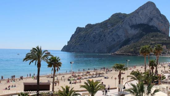  Magnífico apartamento en primera línea de playa. - ALICANTE 