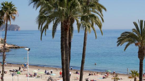 Magnífico apartamento en primera línea de playa. - ALICANTE