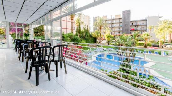 Apartamentos en la playa Poniente - ALICANTE