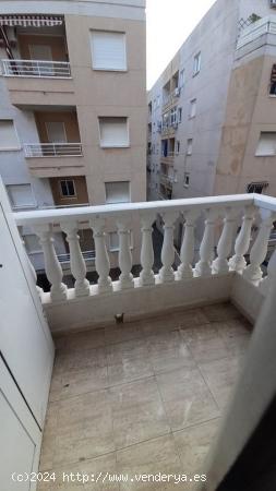  REBAJADO!! TORREVIEJA 2 HABS  ZONA MERCADONA 76.900 EUROS GRAN ESTADO.... - ALICANTE 