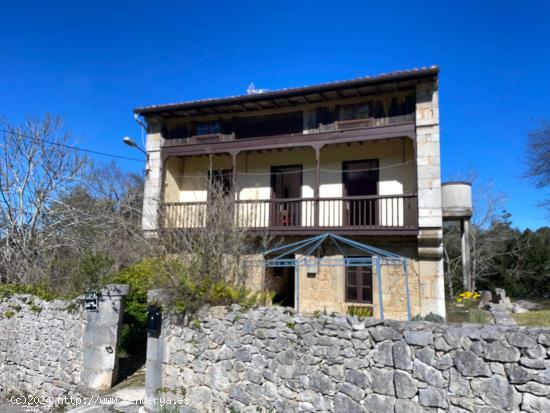 TIPICA CASA DE PIEDRA EN EL BARRIO DE LA IGLESIA -  RUILOBA. - CANTABRIA