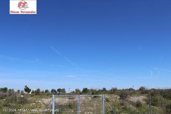 VENTA DE SUELO EN SECTOR XXV,  20.000 metros - MADRID