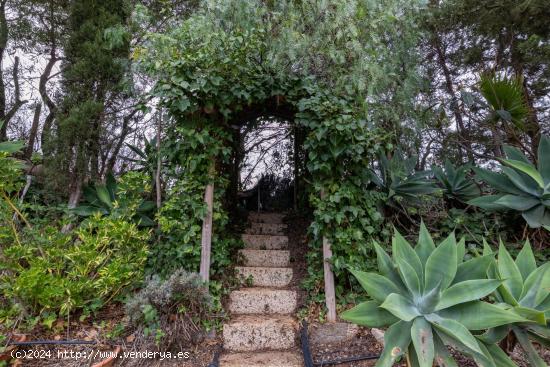 Eterna Belleza: Tu Abrazo Secreto en las Montañas Tropicales de La Escalona Arona. - SANTA CRUZ DE 