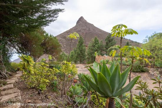 Eterna Belleza: Tu Abrazo Secreto en las Montañas Tropicales de La Escalona Arona. - SANTA CRUZ DE 