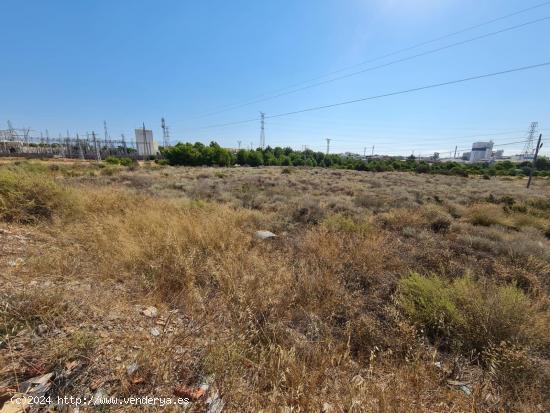 FINCA RÚSTICA - SAN VICENTE DEL RASPEIG (ALICANTE) - ALICANTE