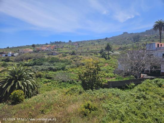  Terreno urbano en La Matanza, Tenerife - SANTA CRUZ DE TENERIFE 