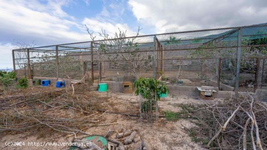 TERRENO RUSTICO AGRICOLA EN GUIMAR - SANTA CRUZ DE TENERIFE