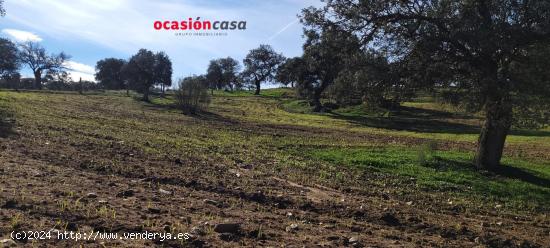 FINCA RÚSTICA EN PEDROCHE - CORDOBA