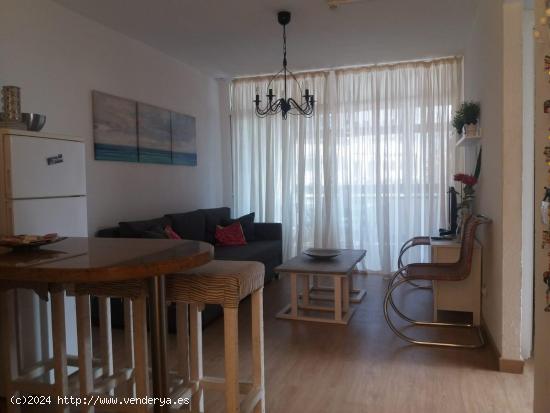 Venta de apartamento de dos dormitorios (Playa del Inglés) - LAS PALMAS