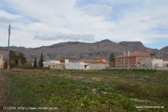 Parcela rústica en Orihuela, zona Ctra. de Beniel, 3.000 m2. de superficie. - ALICANTE