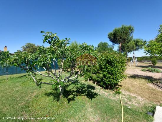 ESPECTACULAR CHALET EN LA LOMA (BLASCOSANCHO/SANCHIDRIÁN) - AVILA