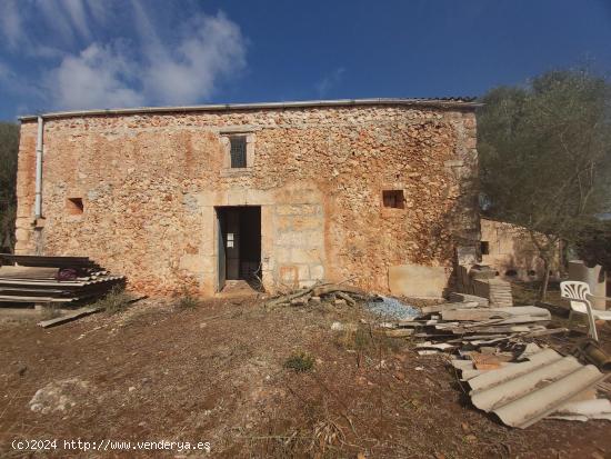  Finca rustica en venta en Santa Margalida - BALEARES 